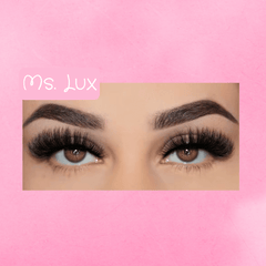 A3B Lash Collection - A3 Beauty by Arhi